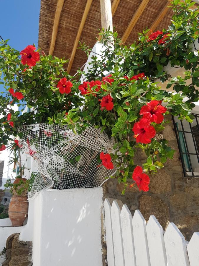 Hibiscus Rosa Mykonos Villa Mykonos Town Kültér fotó